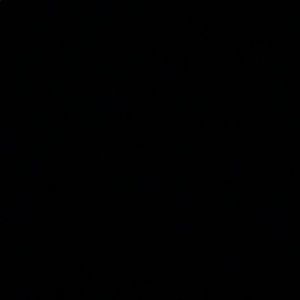 Meet your Posher, Ayva